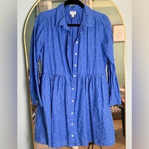 J. Crew Royal Blue Long Sleeve Dress